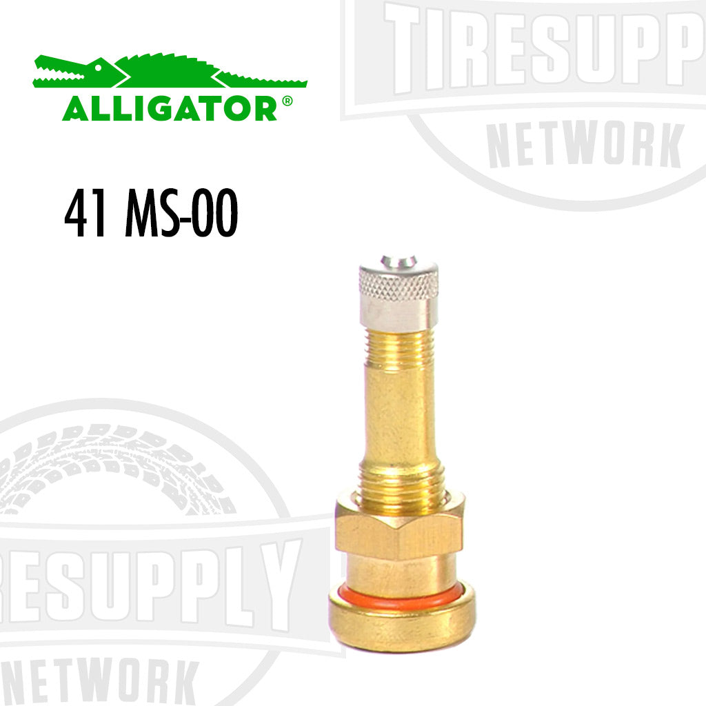 Alligator | EHA 9.7mm Metric Rim Hole Valve Stems - Choose Style (MS-*)