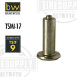 A single Bruno Wessel TSMI #17 gold-colored tire stud designed for passenger and light truck tires.