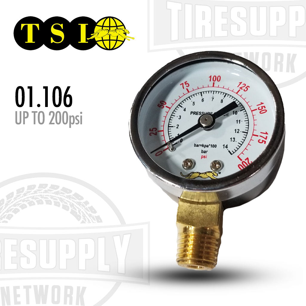 TSI CH-10 | Cheetah Bead Seater - 10 Gallon Steel Tank – Tire